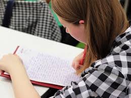 Essay Writing